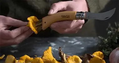Couteau Opinel N°08 Champignon en bois de hêtre